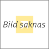 Spisflktar 